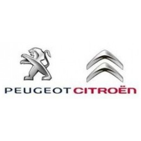 Горловина заливная омывателя (с крышкой) CITROEN Berlingo 96-08 (6439.65)