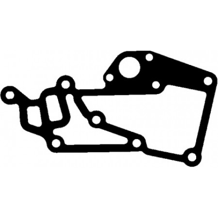 Прокладка термостата Citroen Jumpy/Peugeot Expert 2.0i 00-06 (043.773)