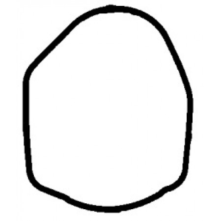 Прокладка термостата BMW 1/3 /5 /6/7 2.0/2.5/3.0D 98-13 (071.650)