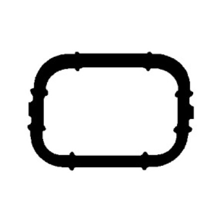 Прокладка коллектора впускного BMW 3 (E46)/5 (E39/E60) 2.0/2.0 d 98-11/Opel Omega B 2.5 DTI 01-03 (074.990)