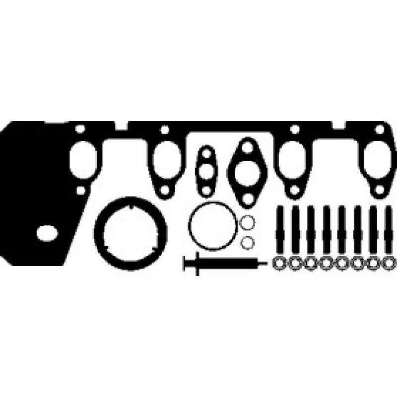 Комплект прокладок турбины VW Caddy III 1.9 TDI 04-10 (196.390)