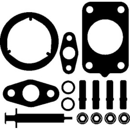 Комплект прокладок турбины VW Crafter 2.5TDI (65-120kw) (196.420)
