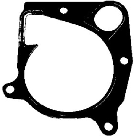 Прокладка помпы воды BMW 3 (E90/92/93)/5 (E39/70) 2.0/2.5/3.0D 98-14 (362.281)