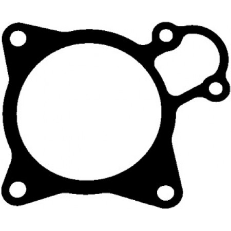 Прокладка помпы воды Citroen Jumper/Fiat Ducato/Peugeot Boxer 3.0 HDi 06- (369.930)