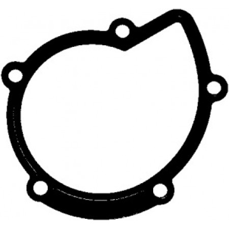 Прокладка помпы воды Citroen Jumper/Jumpy/Peugeot Boxer/Expert 2.0/2.2 HDi 02- (394.280)