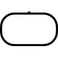 Прокладка коллектора впускного Audi A4/A6/ VW Passat 1.8/2.0 95-05 (497.230)