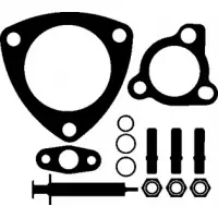 Комплект прокладок турбіни VW Passat 1.8 T 96-05 (703.960)