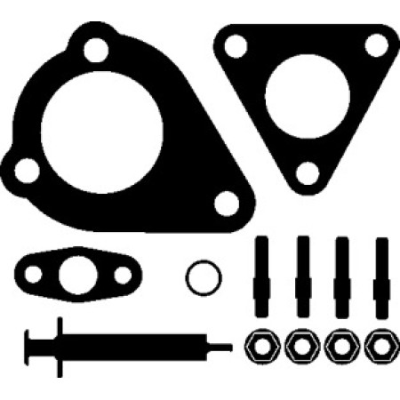 Комплект прокладок турбины VW Passat 1.9 TDI 96-05 (703.980)