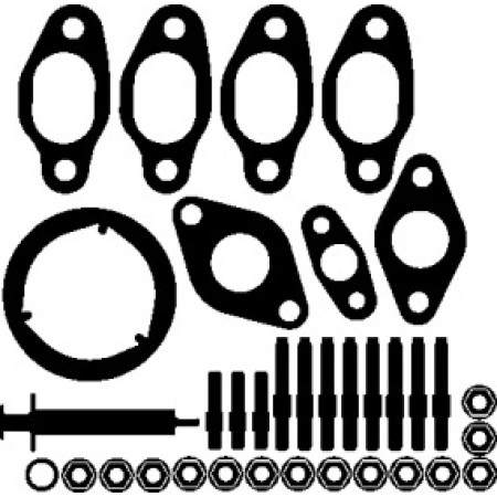 Комплект прокладок турбины VW Caddy III 1.9 TDI 04-10 (704.040)