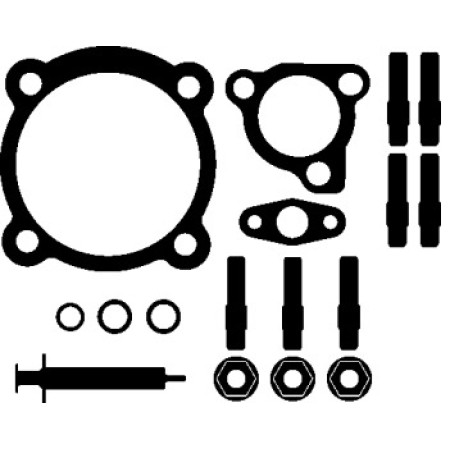 Комплект прокладок турбины VW Golf IV 1.8 T 97-06 (717.951)
