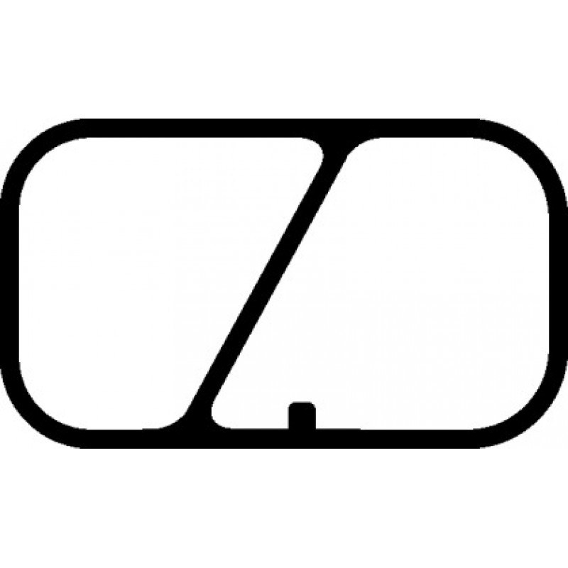 Прокладка коллектора впускного Fiat Doblo/Opel Combo 1.3JTD 05- (718.200)