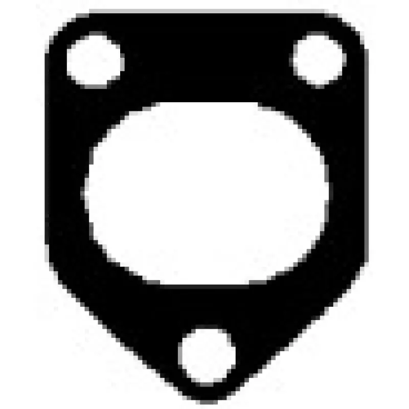 Прокладка турбіни BMW 3/ 5/ 7/ X5 1.8-3.0d -05 (833.576)
