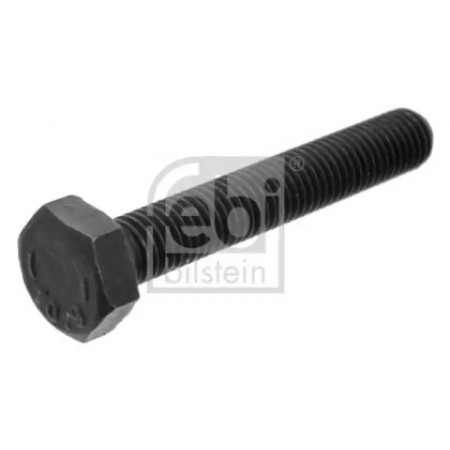 Болт коленвала VW Golf/ Jetta/ Passat/ Polo (M10) (18160) FEBI BILSTEIN