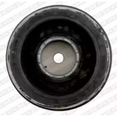 Шкив коленвала BMW 1/3/5/X3 2.0D 02- (4PK+6PK) DPF350.01
