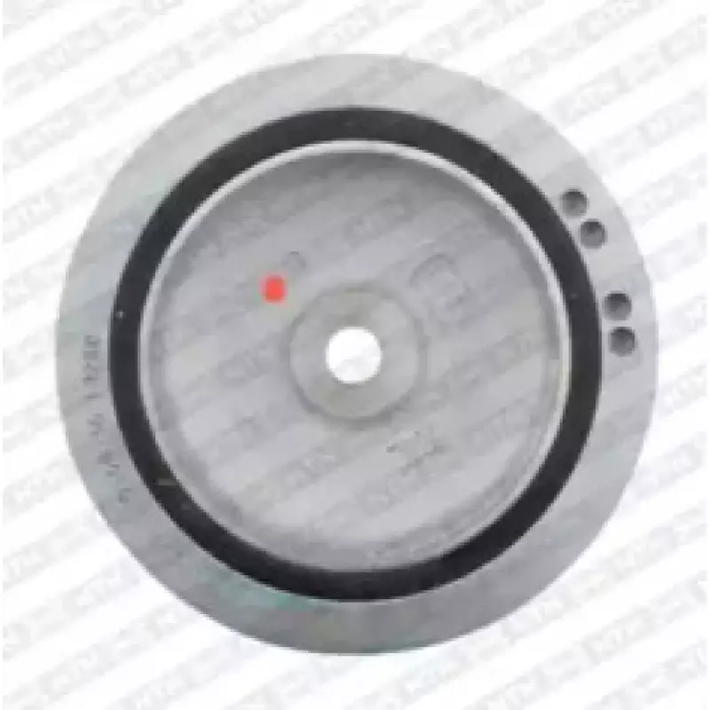Шкив коленвала Renault Kangoo 1.9 dTi/dCi 01- DPF355.00