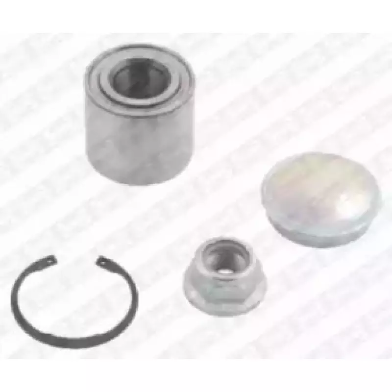 Подшипник ступицы (задней) Renault Megane II (25x55x48) R155.78