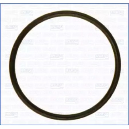 Прокладка впускного колектора VAG/Ford/MB/Opel/Renault (16022000)