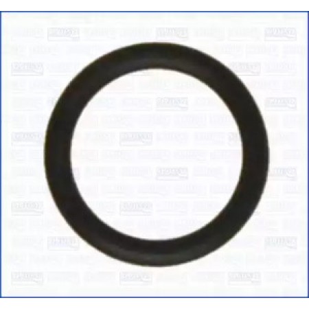 Прокладка впускного колектора MB OM611/612/646/647 (16x3x22) (16064200)