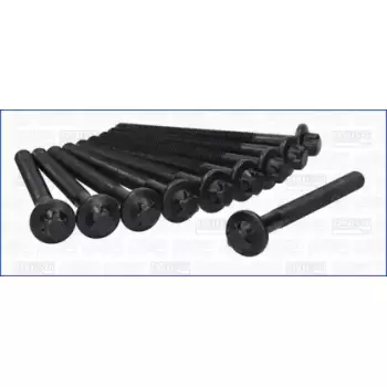 Болти головки блока Master/Trafic 2.5dCi 00- (к-кт) (81031600)