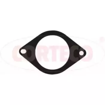 Прокладка трубы выхлопной Renault Kangoo 1.5 dCi 02- (027531H)