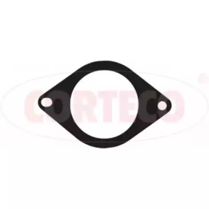 Прокладка трубы выхлопной Renault Kangoo 1.5 dCi 02- (027531H)