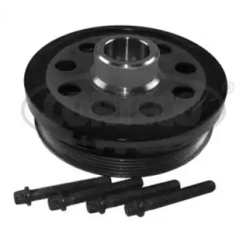 Шкив коленвала BMW 1/3/X1/X3 2.0D 04- (6PK) (80004879)