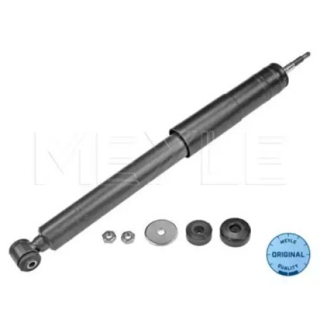 Амортизатор (передний) MB C-class (W202) 96-01 (kombi) 026 625 0012