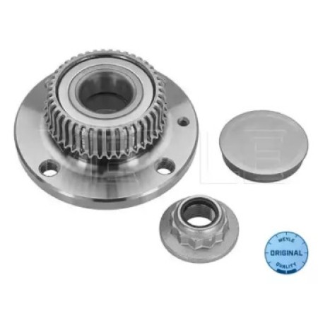 Подшипник ступицы (задней) VW Caddy 96- 100 752 0007