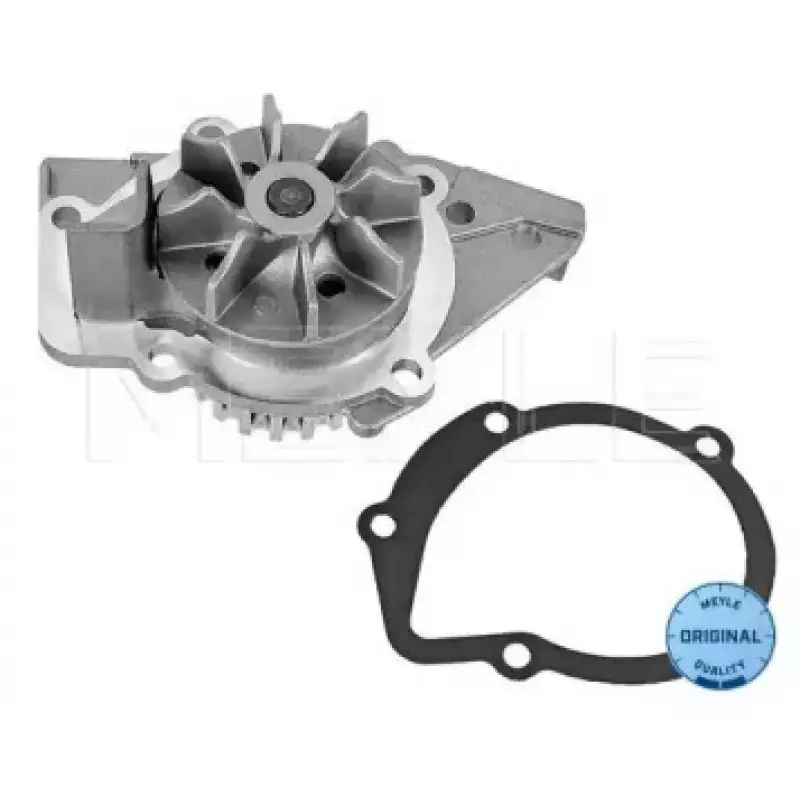 Помпа воды Fiat Scudo/Peugeot Boxer 1.9TD 94-02 11-13 220 0005