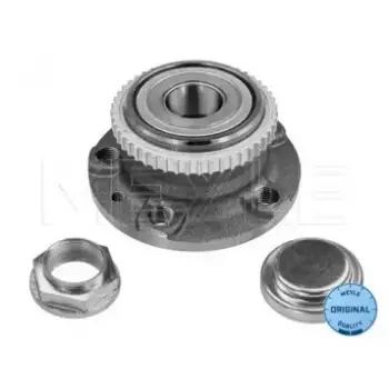 Подшипник ступицы (задней) Fiat Scudo/Peugeot Expert 96-06 11-14 750 0018