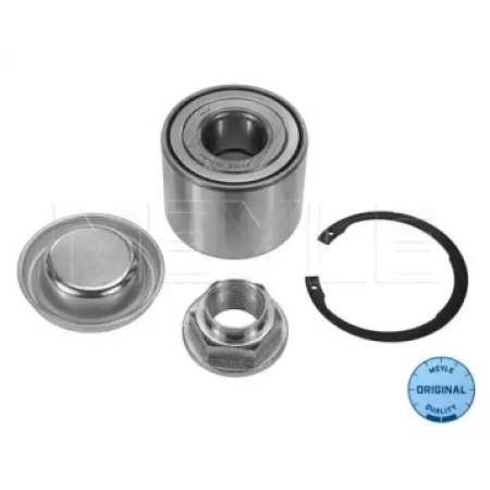 Подшипник ступицы (задней) Citroen C4/Peugeot 307 (25x60x45) 11-14 750 0025
