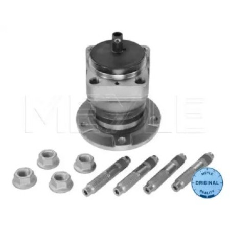 Подшипник ступицы (задней) Fiat Scudo 07- (+ABS) (барабанные тормоза) 11-14 752 0002
