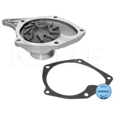 Помпа воды Renault Kangoo 1.5dCi 16-13 220 0003