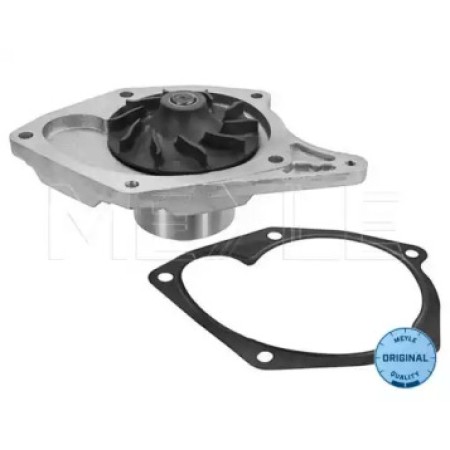 Помпа воды Renault Kangoo 1.5dCi 08- (d=74mm) 16-13 220 0015