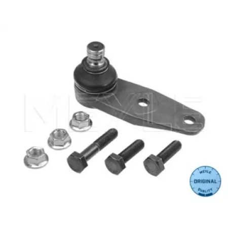Опора шаровая (передняя/снизу) Renault Kangoo 97- (болт 10mm) 16-16 010 4264