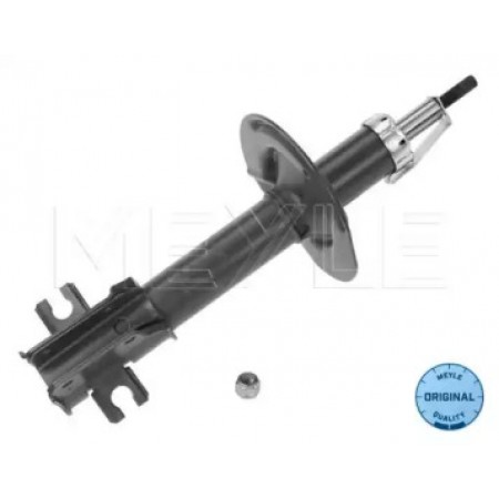 Амортизатор (передний) Fiat Punto 99-12 226 623 0002