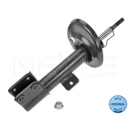Амортизатор (передний) Citroen C4 06-13- (L) 40-26 623 0017