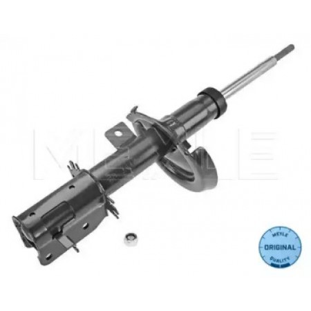 Амортизатор (передний) Citroen Jumpy/Fiat Scudo/Peugeot Expert 07- (R) 40-26 623 0020