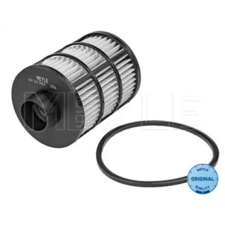 Фильтр топливный Fiat Ducato/Citroen Jumper/Peugeot Boxer 2.2/2.3/3.0MJTD/HDI 06- 614 323 0004