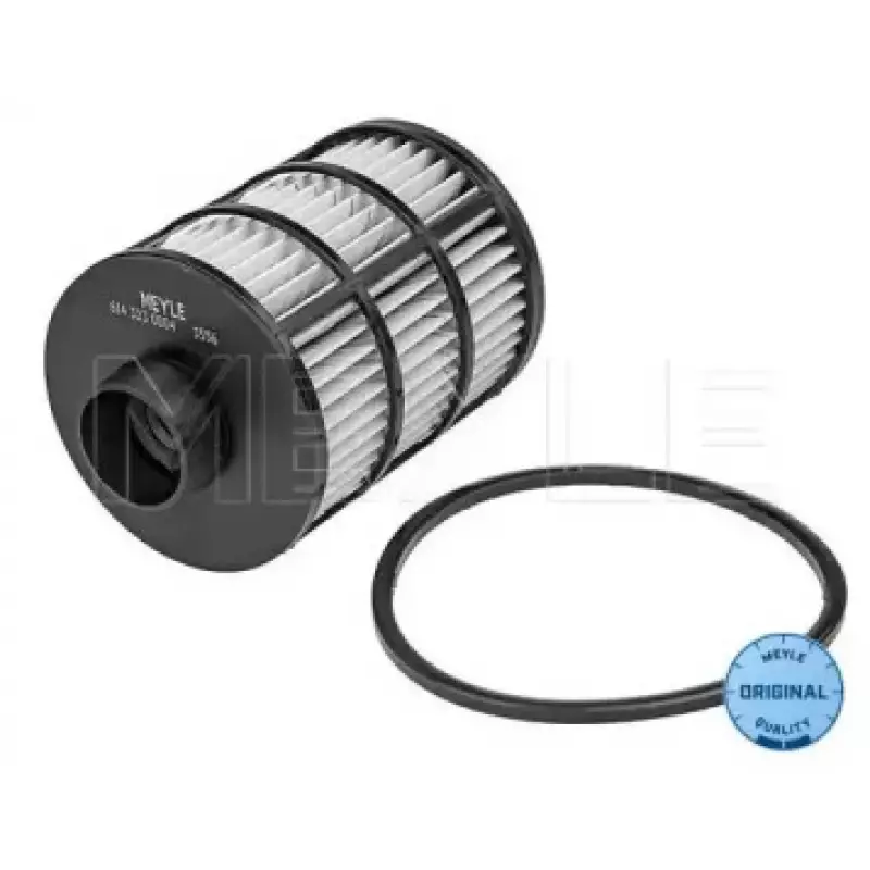 Фильтр топливный Fiat Ducato/Citroen Jumper/Peugeot Boxer 2.2/2.3/3.0MJTD/HDI 06- 614 323 0004