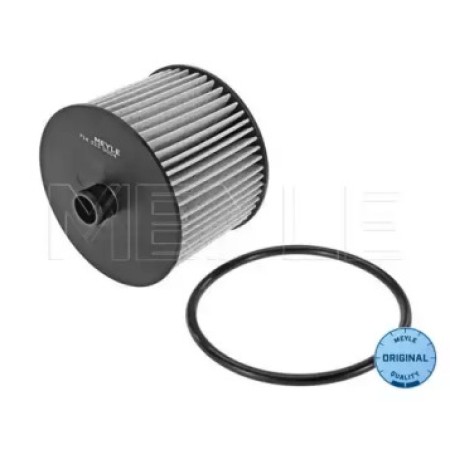 Фильтр топливный Fiat Scudo/Citroen Jumpy/Peugeot Expert 2.0JTD/HDI 07- 714 323 0004