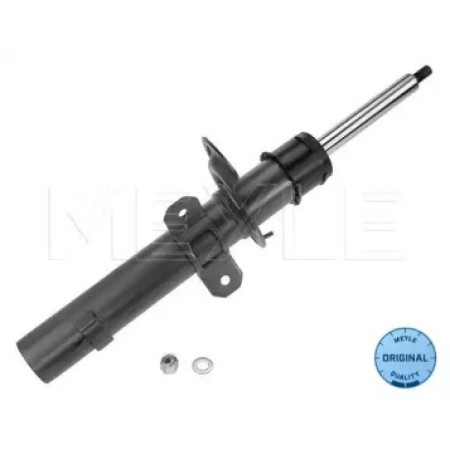 Амортизатор (передний) Ford Mondeo III 00-07 726 623 0004