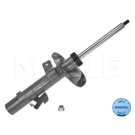 Амортизатор (передний) Ford Focus 03- (L) 726 623 0013