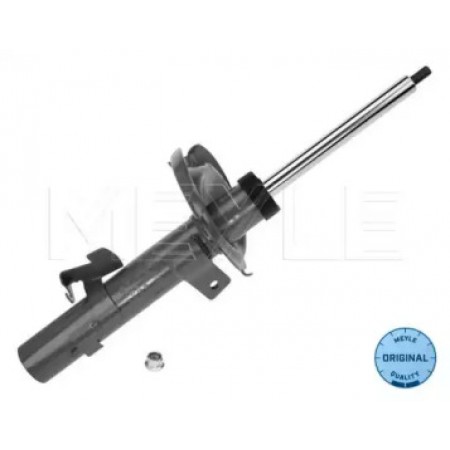 Амортизатор (передний) Ford Focus 03- (R) 726 623 0014