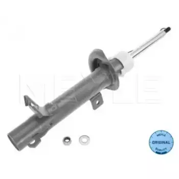 Амортизатор (передний) Ford Fusion 03- (R) 726 623 0018