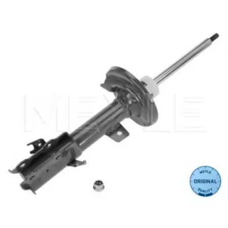 Амортизатор (передний) Ford Fiesta VI 08- (L) 726 623 0033