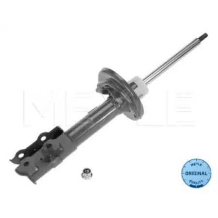 Амортизатор (передний) Ford Fiesta VI 08- (R) 726 623 0034
