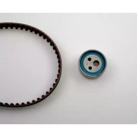 Комплект ГРМ Renault Kangoo 1.2i 97- (17x87z) (20-1078)