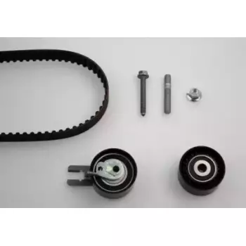 Комплект ГРМ Citroen Nemo 1.4HDI 08- (20-1297)