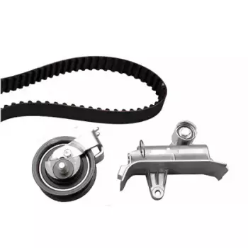 Комплект ГРМ Audi A3/A4/A6/TT/Skoda Octavia/VW Golf 1.8T (20-1337)